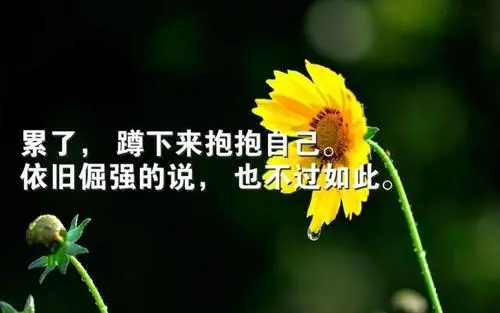 表示新的一天的一句话