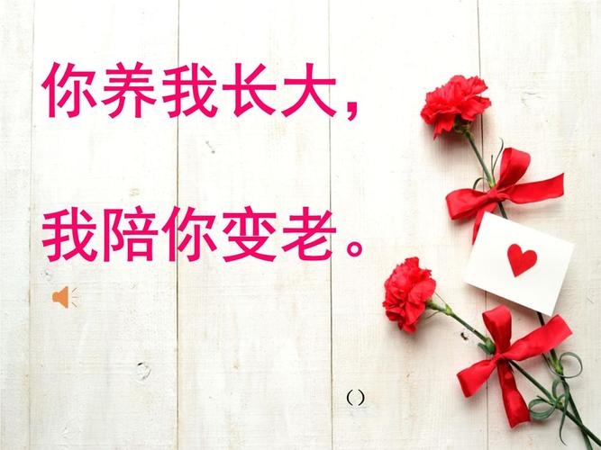 养我长大陪你变老感言