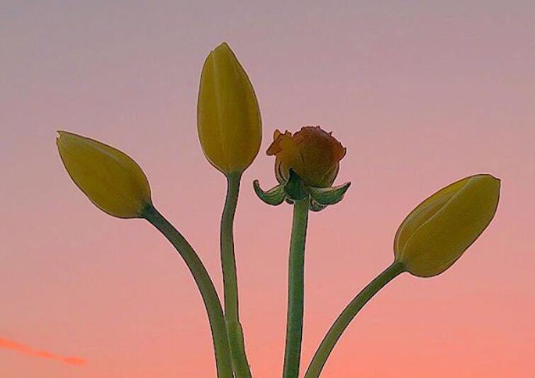 每天说暖心的早安句子文案