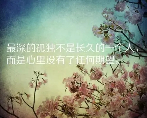 放弃感情的句子文案说说心情