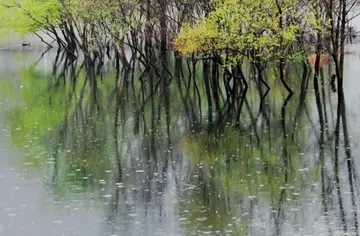 春天下雨的心情说说文案