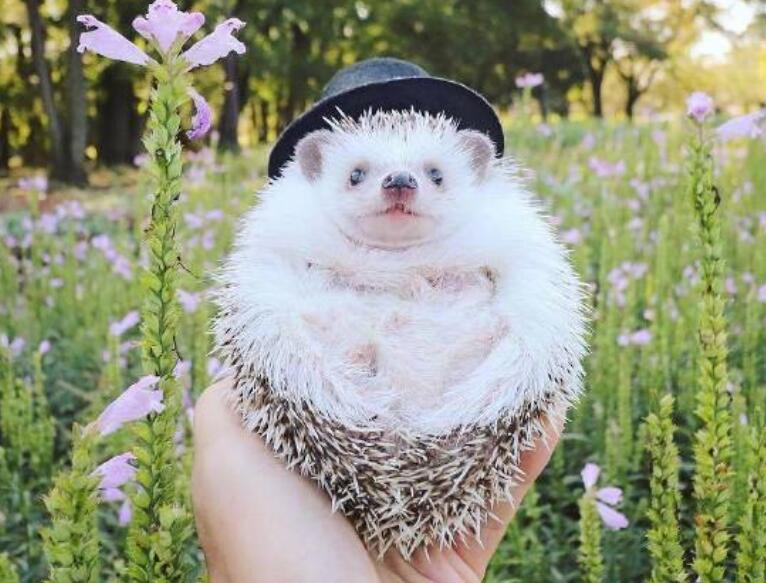 早上问候语温馨正能量