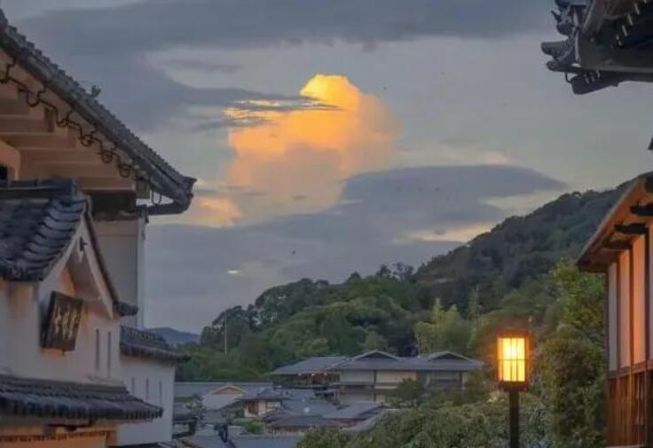 原耽小说里的励志句子文案