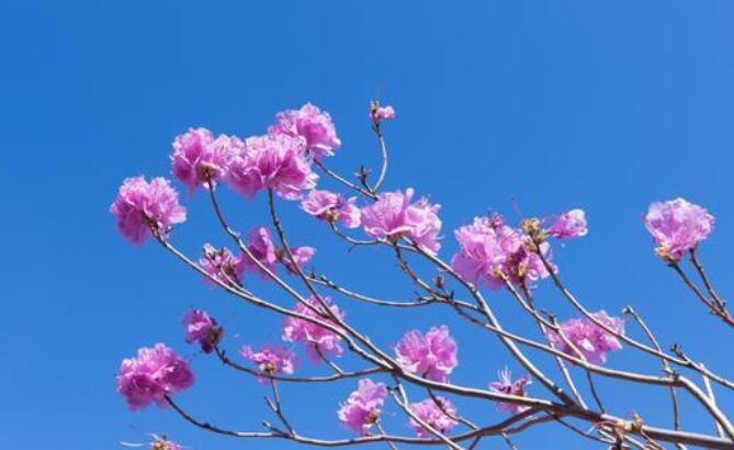 描写青春的经典诗词