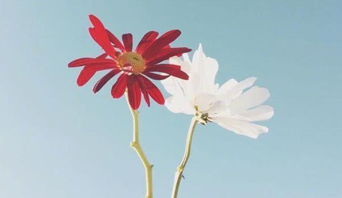 简短的人生观句子文案