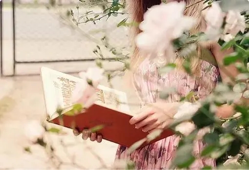 赞美老师的诗句文案