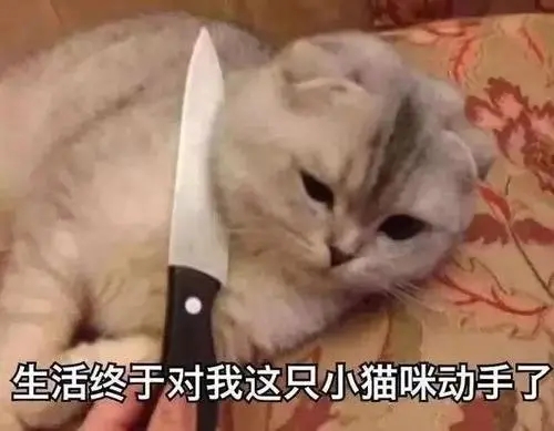 今年我太难了的说说文案