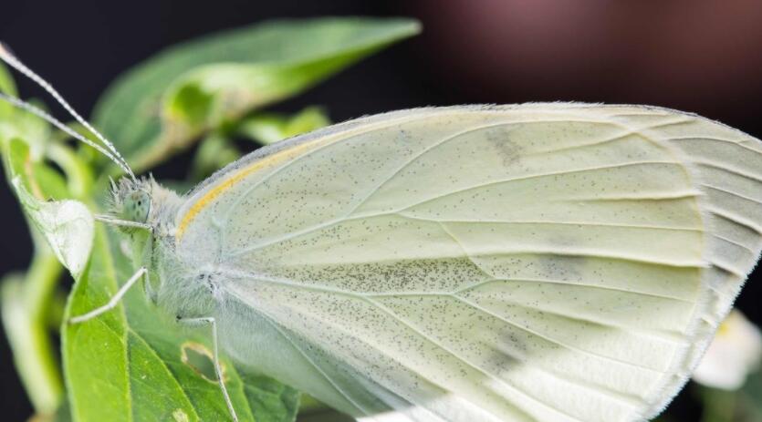 50字读后感及好词好句文案