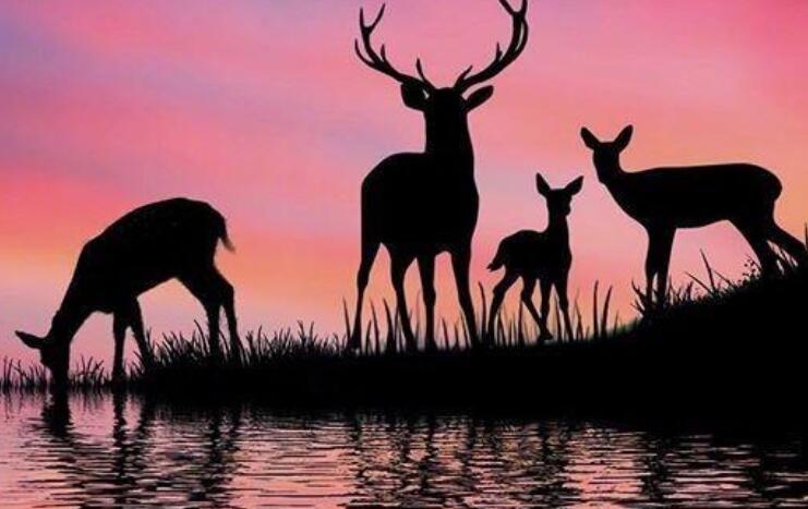 向梦想出发的句子文案