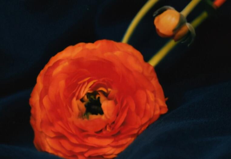 优雅女人的句子文案