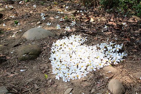 分手后努力变强的句子文案