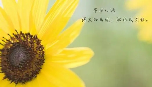 起床早安说说文案心情短语