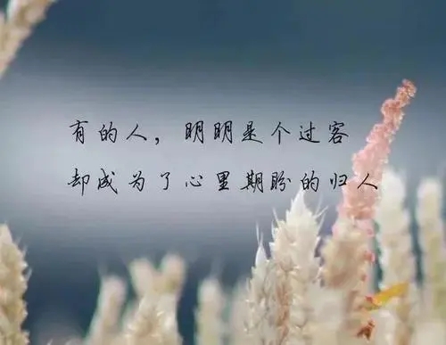 朋友圈发表心情的句子文案