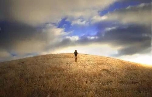 感谢别人诚信的句子文案