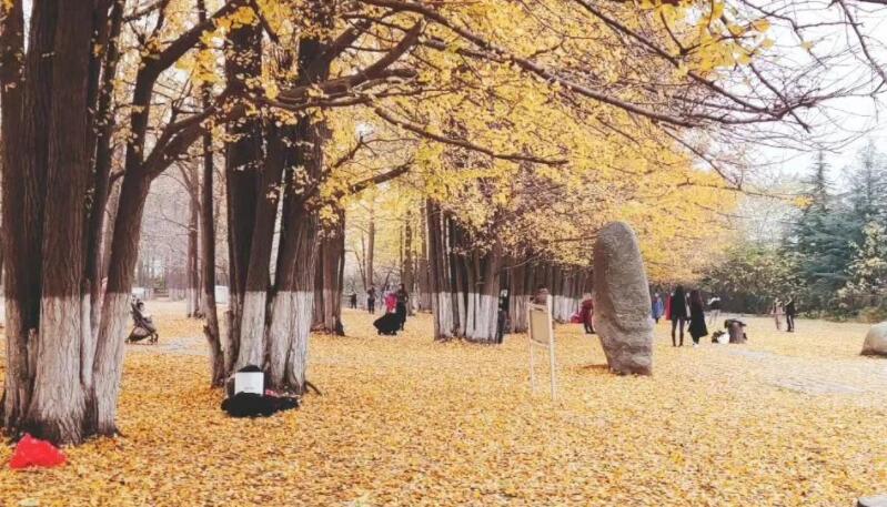 描写触景生情的好句文案