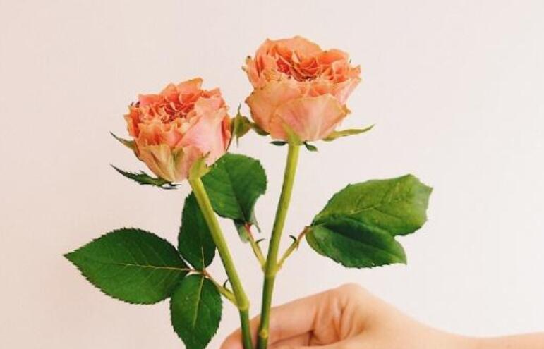 微信朋友圈心情好的句子文案