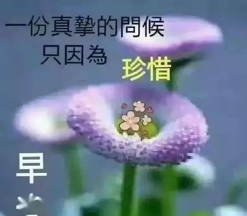 清晨第一声问候语