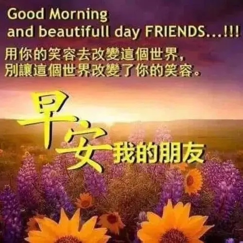 朋友问候语温馨一句话