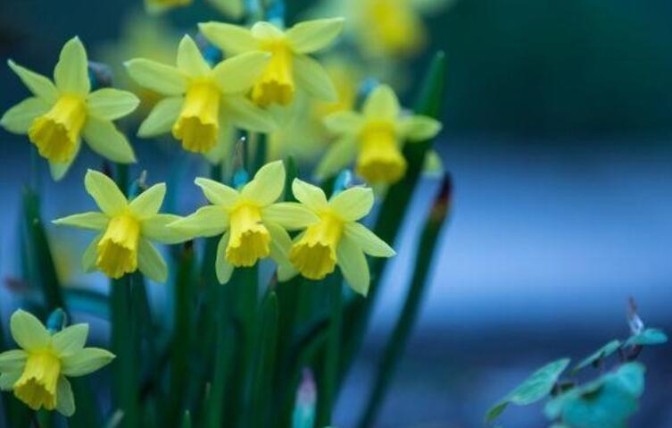 人情世故最精辟的话