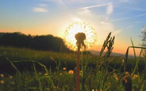 心境的感悟人生说说文案