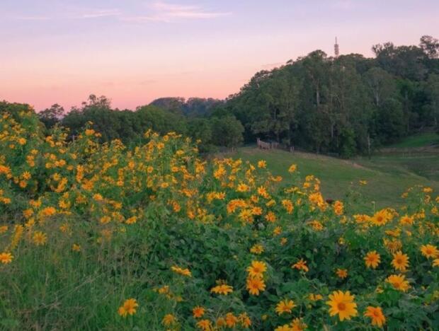 一个人在路上经典语录文案