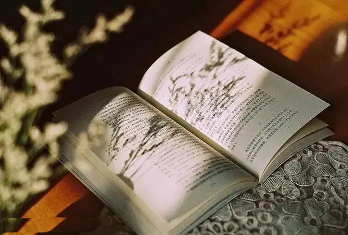 关于阅读的句子文案