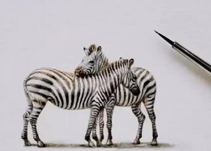 看透社会现实的句子文案