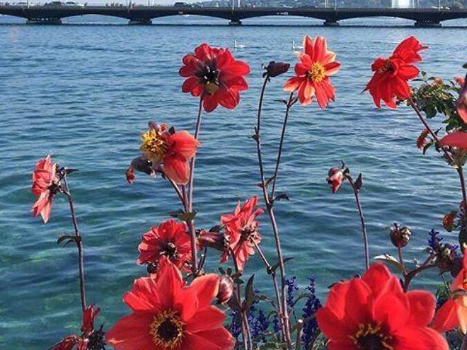 女人简单快乐的心态句子文案