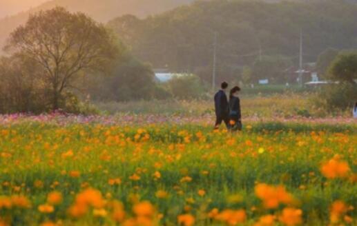 超火韩语句子文案