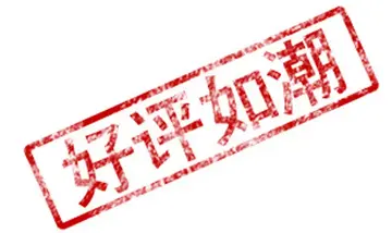 评论文采好的评语