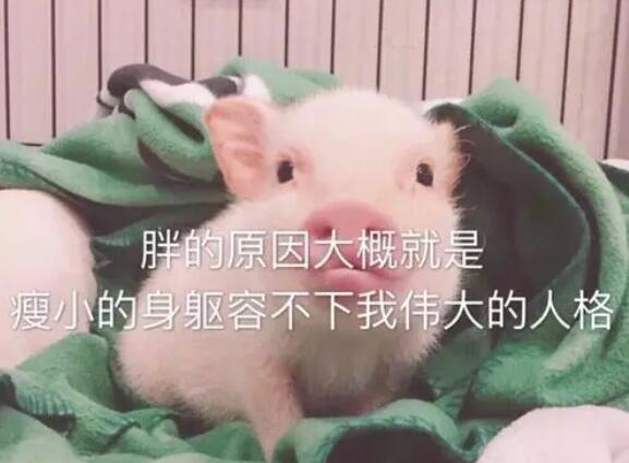 关于可爱的句子文案