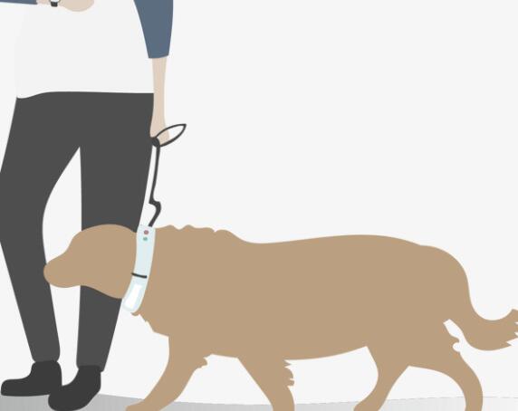 饭后遛狗的心情说说文案