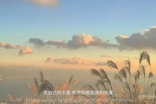 很美的朋友圈句子文案