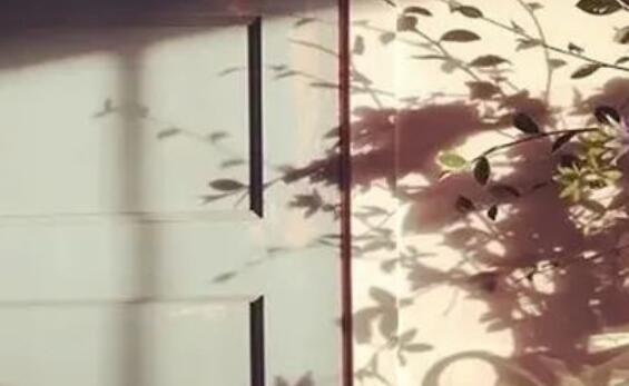 著名书中的优美句子文案