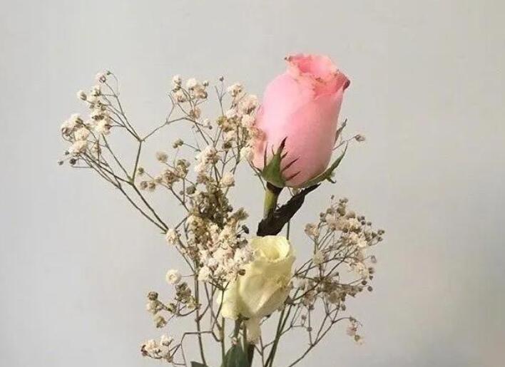 深夜暖心情话文案