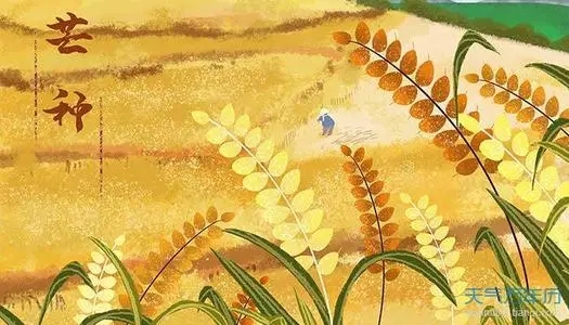 芒种的著名诗句文案