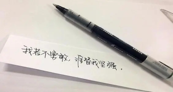 唯美坚强励志的句子文案
