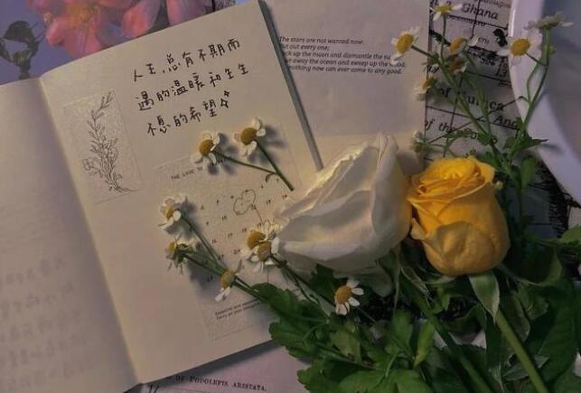 情人平安夜祝福语短句