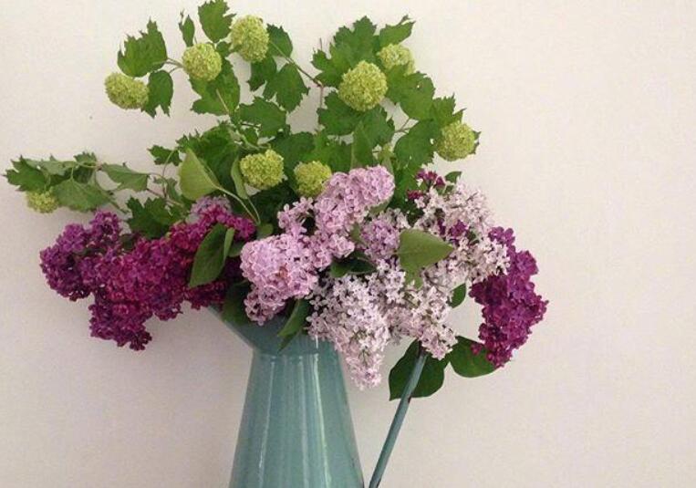 讽刺辉煌和落魄的句子文案