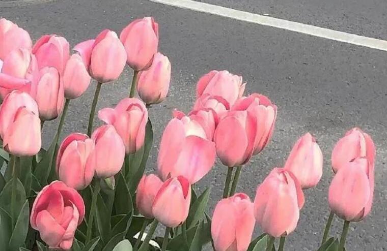 十八岁成人礼祝福语