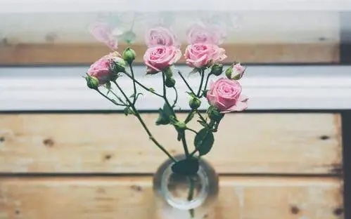 给最好的朋友说最暖心的话