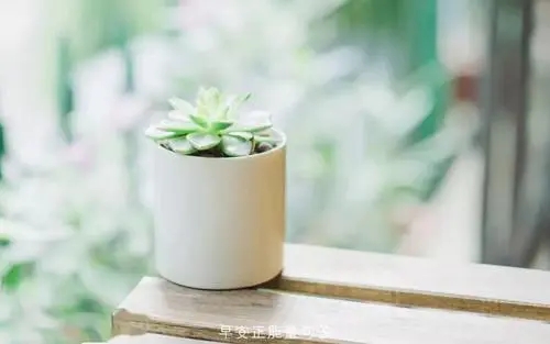 押韵的句子文案正能量