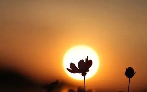 身边的温暖优美句子文案