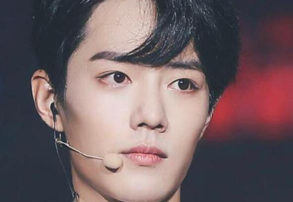 粉丝赞美肖战的句子文案