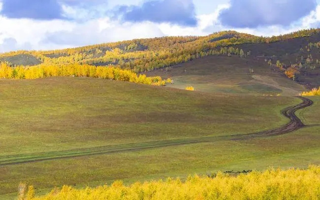 世界朋友的祝福语