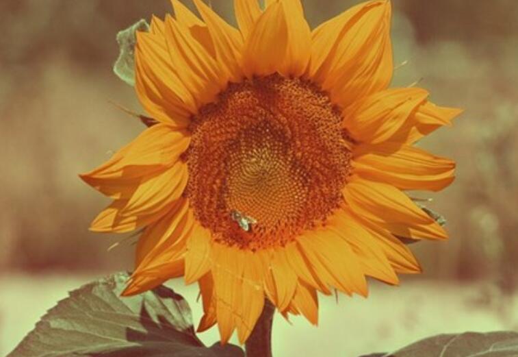 对心情不好的女性安慰的话