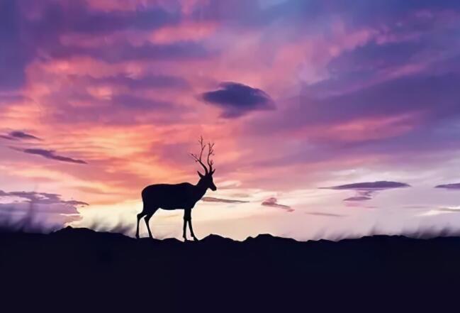 送给在拼搏的人一句话