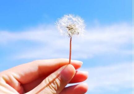 2024早安心语正能量