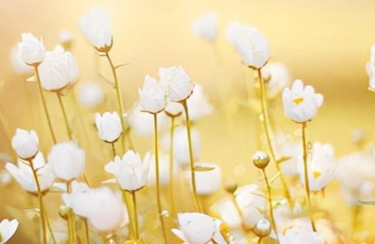 励志的句子文案较长