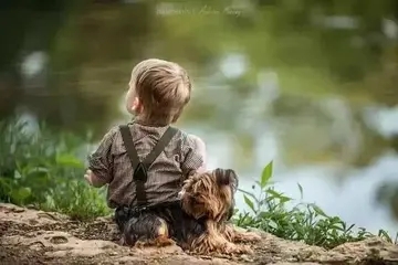 初中英语佳句摘抄大全